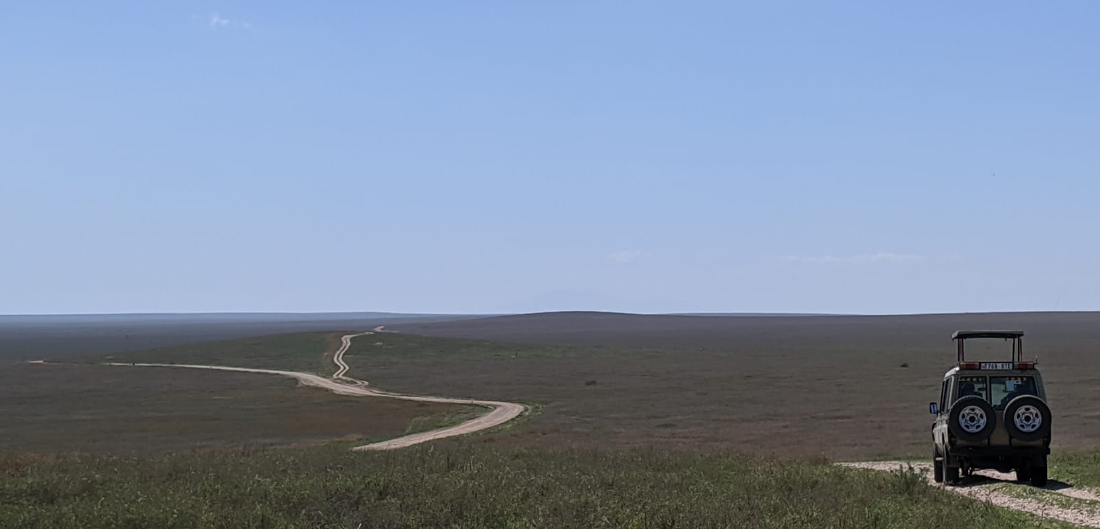 IMAGE 105